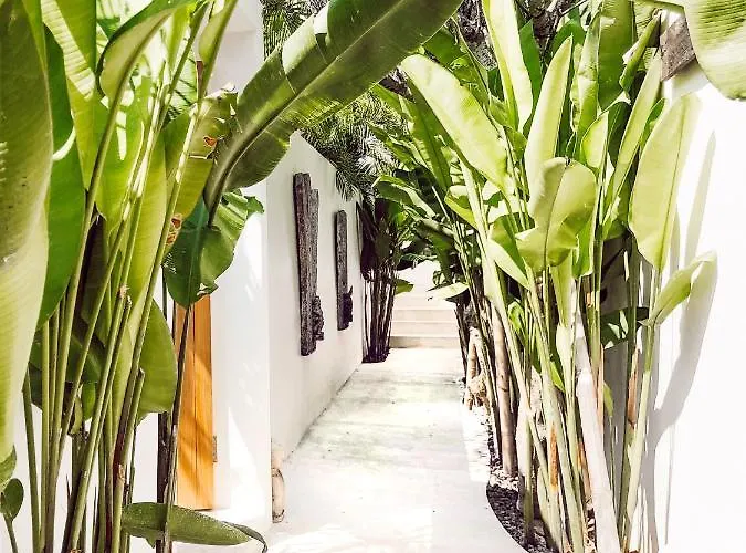 Beyond Bespoke Seminyak (Bali)